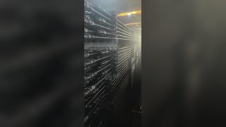 D sınıfı enayi çubuklar